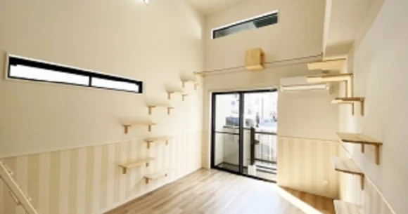 Japan’s new apartments for singles with cats let you live with the only companion you need