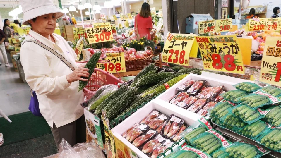 Record number of cloudy days affecting Tokyo vegetable prices