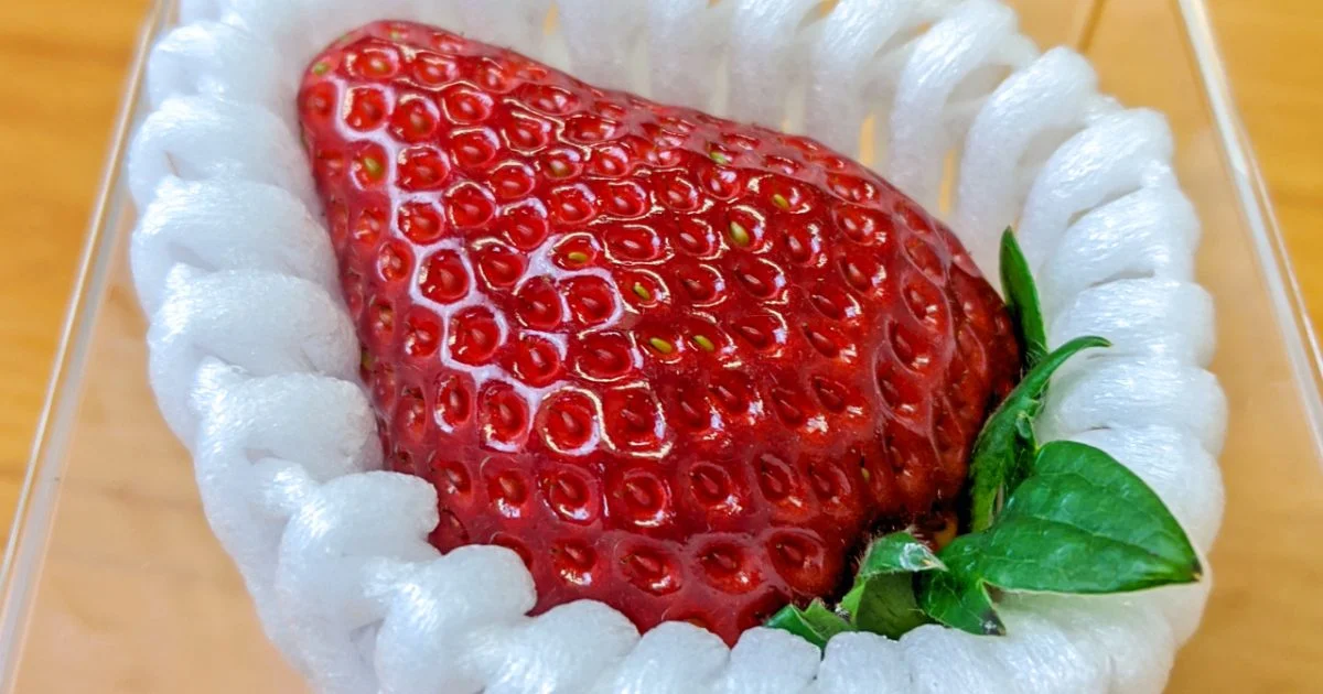 What it's like to eat a super expensive Japanese strawberry【Taste Test】