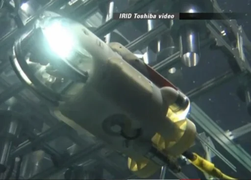 Ocean sunfish robot at Fukushima plant