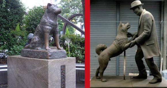 Hachiko, Japan’s most loyal dog, finally reunited with owner in heartwarming new statue in Tokyo