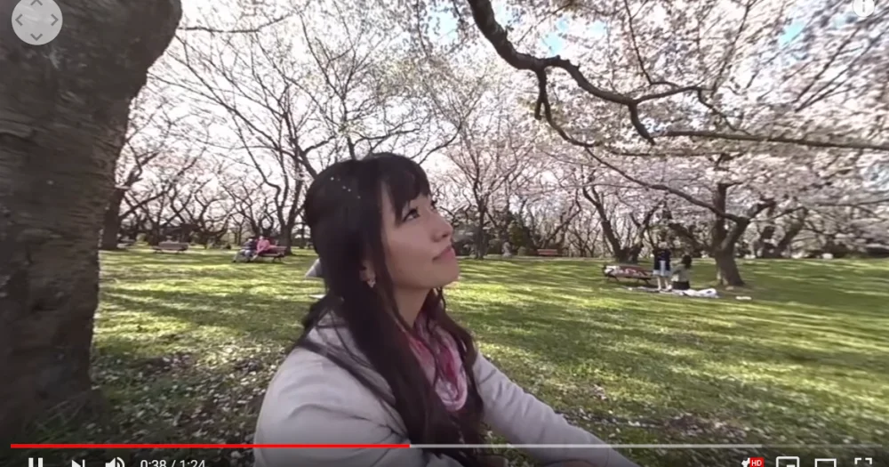 VR cherry blossom parties: 360-degree video series provides beauty, dates for those stuck indoors