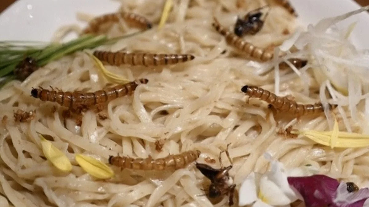 “Insect Tsukemen,” the bug-filled ramen dish gaining popularity in Tokyo