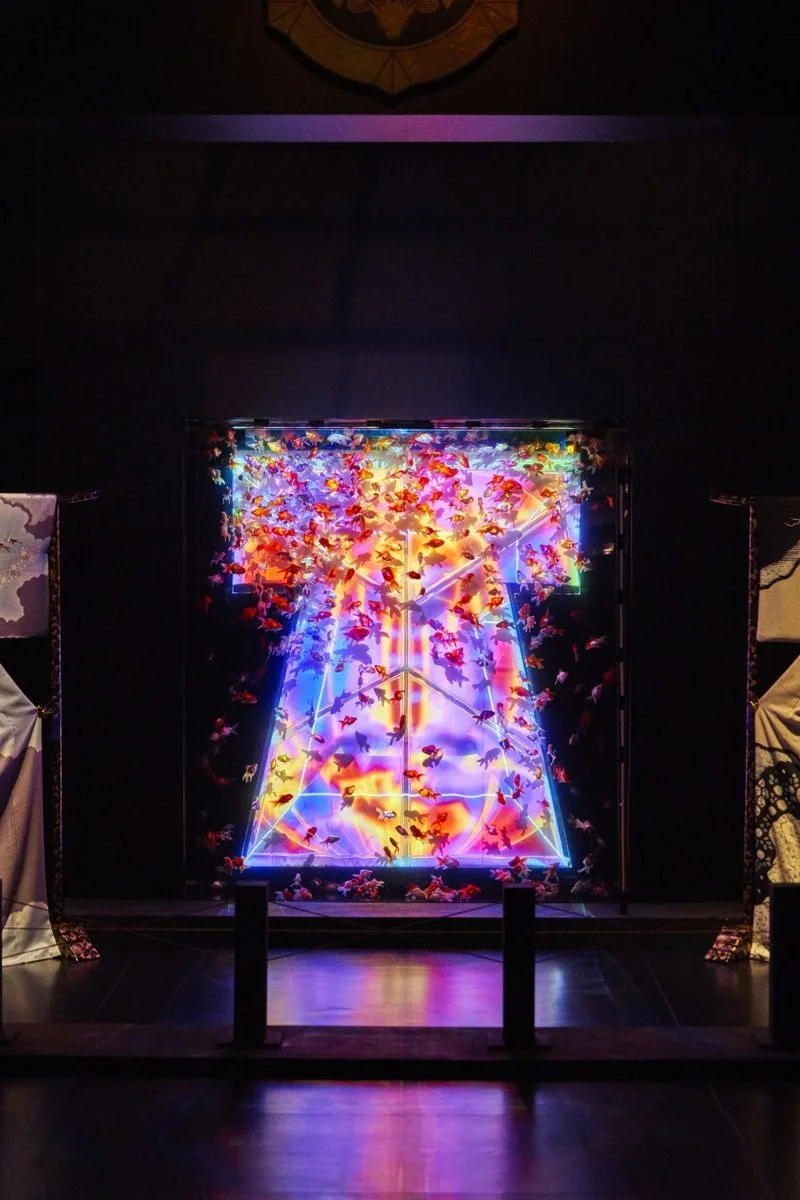 Art Aquarium 'Edo: Coolness of KINGYO'