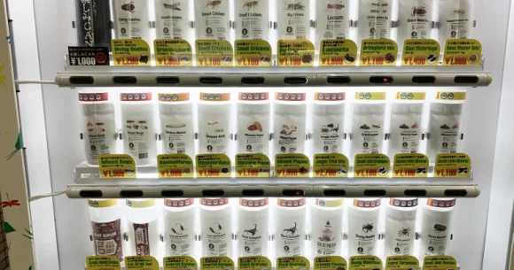 Taste-testing Tokyo’s biggest, best edible bug vending machine【Photos】