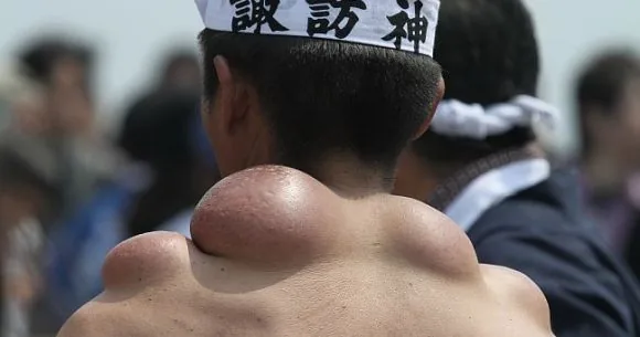 These "Mikoshi Dako" are the badges of honour from a Japanese festival