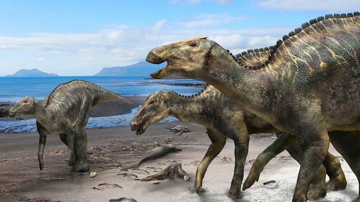 Newly Discovered Japanese Duck-Billed Dinosaur Was a Cretaceous Beach Bum