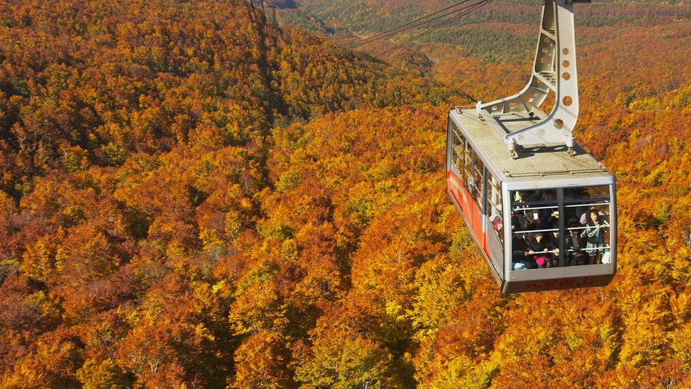 10 Places To Experience the Best of Autumn in Japan