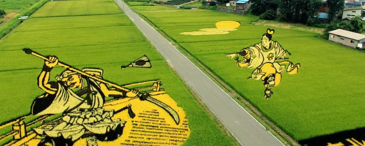 Every year, a Japanese village in northern Aomori Prefecture creates field-sized, living, 3D paintings made of coloured rice shoots.