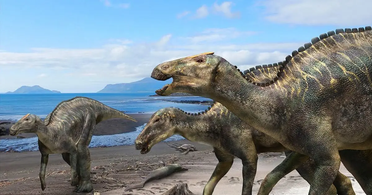Mysterious duck-billed dinosaur lived in Japan 72 million years ago