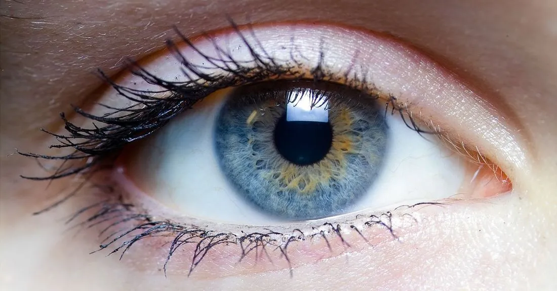 The reflections in a pop star’s eyes told a selfie stalker exactly how to find her