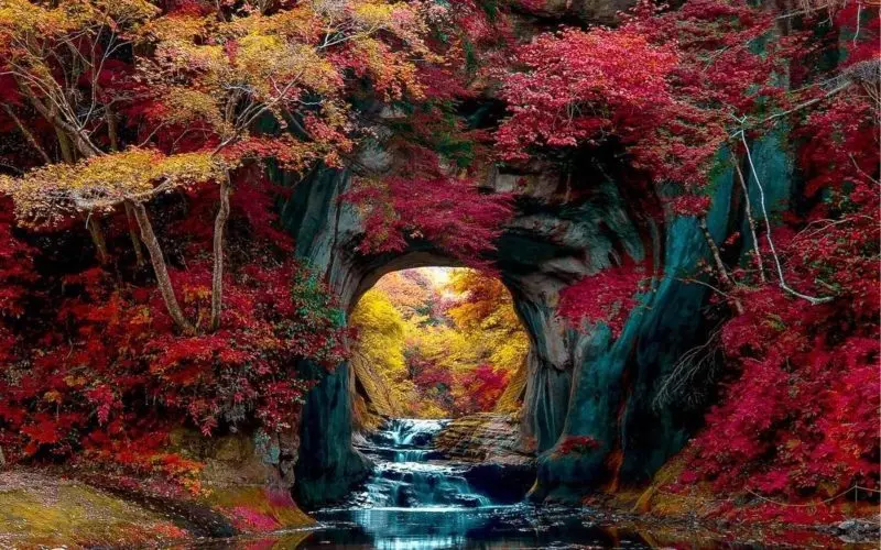 The Best Spots to See Autumn Leaves in Kanto