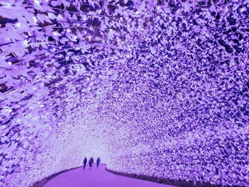 Ultimate Guide to Winter Illuminations in Japan’s 47 Prefectures 2019-20