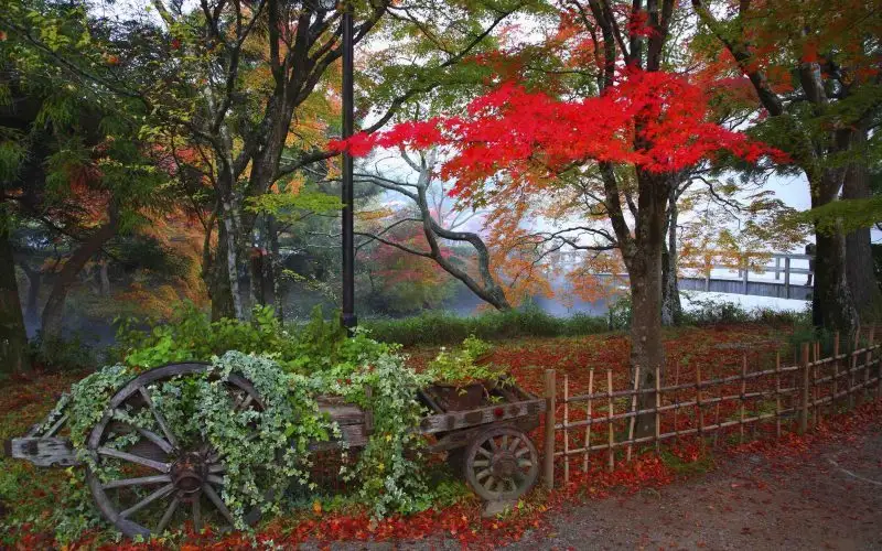 Top 10 Unknown Autumn Destinations in Japan