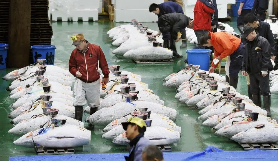 Ceremony marks 1 year since opening of Tokyo's new fish market