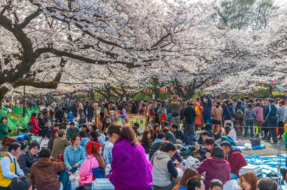 5 Things to Do in Japan This Spring (That Don’t Involve Hanami)