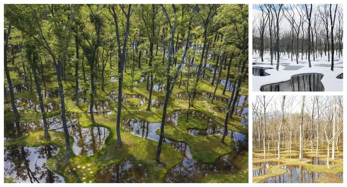 The Art Biotop Water Garden Designed by Junya Ishigami