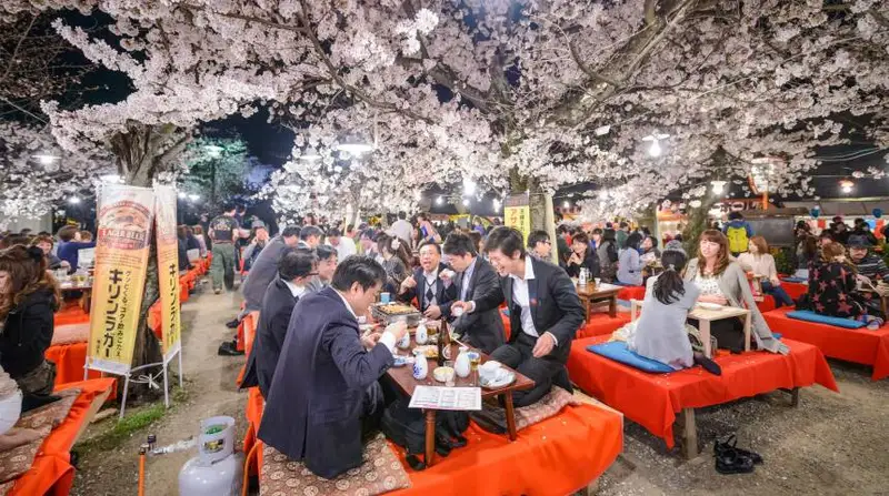 A look into Japan's springtime
