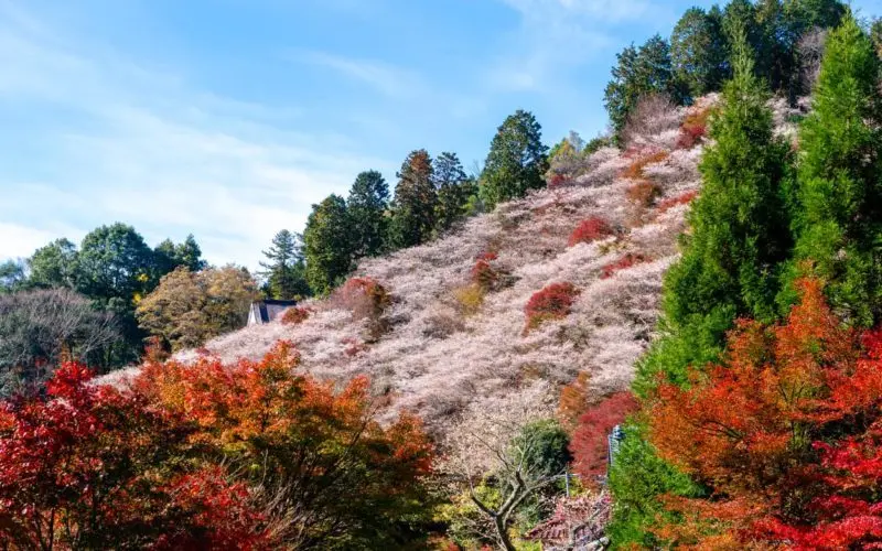Toyota, Aichi Prefecture