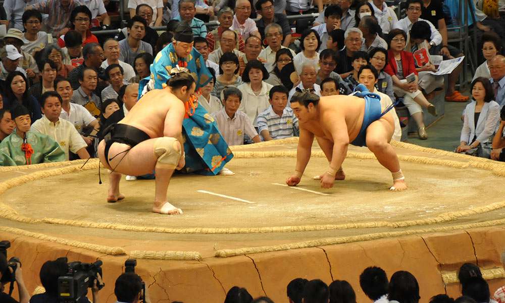 A guide to today's sumo world