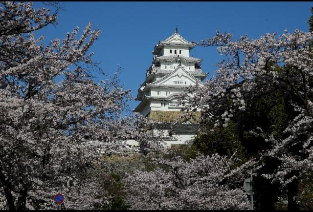Seven Reasons To Visit Japan Right Now