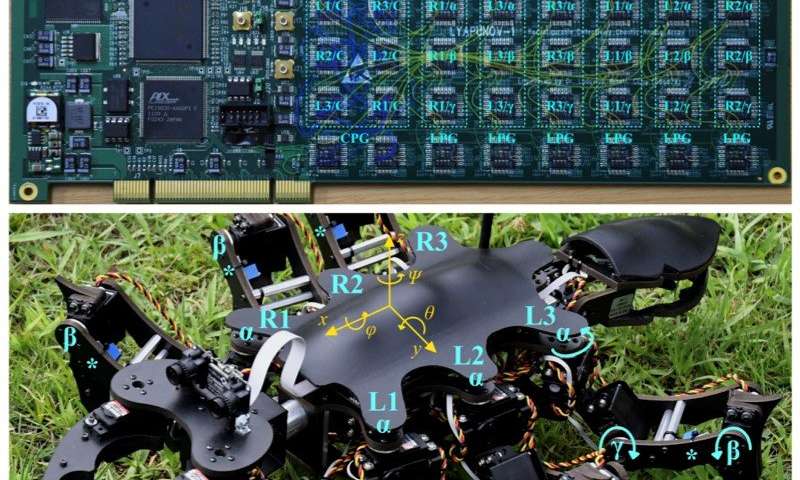 Tokyo Tech's six-legged robots get closer to nature