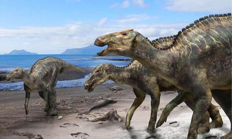 New hadrosaur from Japan sheds light on dinosaur diversity