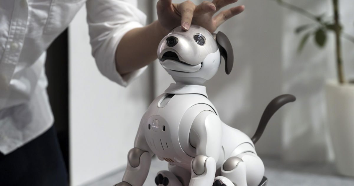Sony AI unit launches to push R&D in gaming, cameras and food