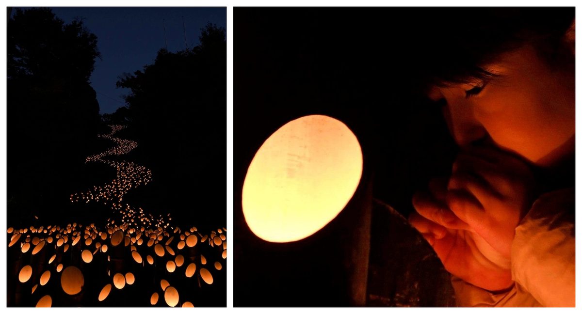 20,000 Bamboo Lanterns Illuminate the Chikuraku Festival