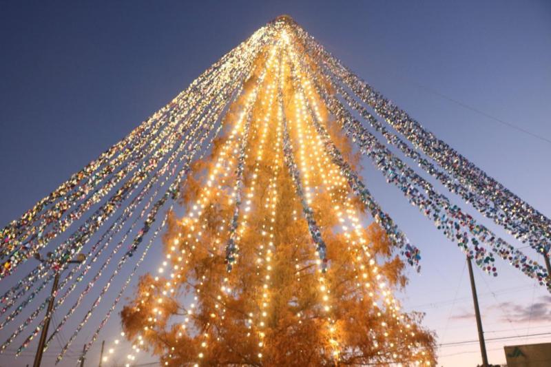 Christmas tree with 51,626 notes attached sets Guinness record in Japan