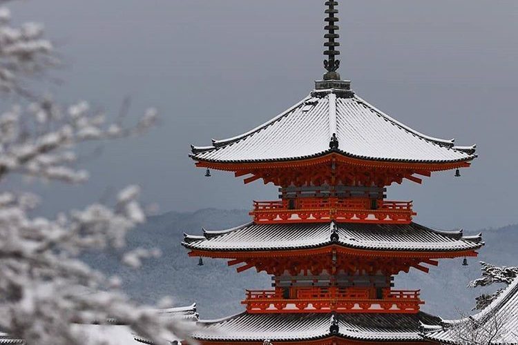 Top 10 Readers’ Photos In Japan: January 2020