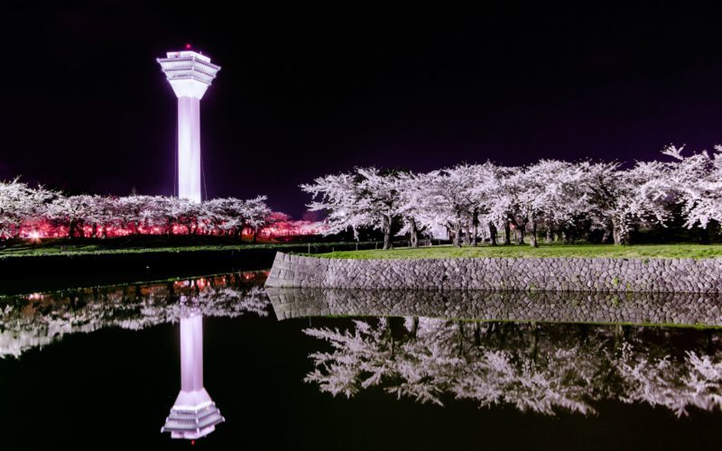 The Best Spots to See Cherry Blossoms around Sapporo