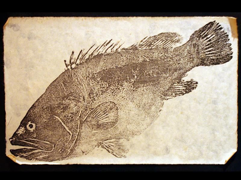 Traditional Japanese Fish Art Could Be a Boon for Conservation