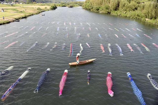 120 Koinobori Flutter in Sabagawa River