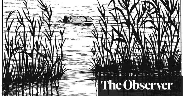 The Swamp by Yoshiharu Tsuge review – powerfully strange